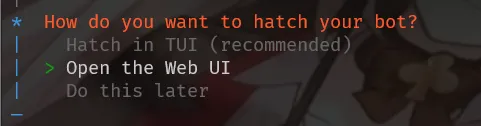 打开 Web UI